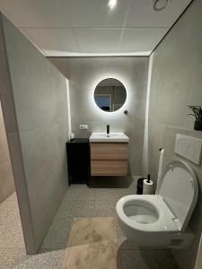 a bathroom with a toilet and a sink and a mirror at Appartement Nu in Eersel +18 photos