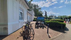 Jazda na bicykli v okolí ubytovania Apartment Balatonföldvar - Balaton 18521