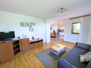 salon z kanapą i telewizorem z płaskim ekranem w obiekcie Apartments Irini w mieście Nijvice +9 zdjęć