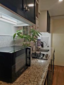 a kitchen with a black counter top with a plant at Brookfarm Cottage in Irosin +20 photos