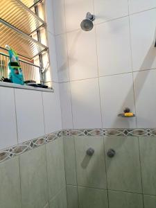 Quarto com Anfitriã em Copa的一间浴室