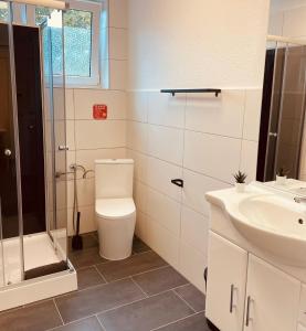 a bathroom with a toilet and a sink and a shower at Cityapartment in Stadtlohn +14 photos