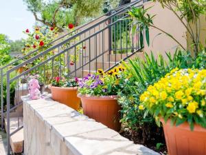 Hrvatska, SPLITSKA-OTOK BRAČ, Apartment Lili- One Bedroom Apartment with Terrace ST