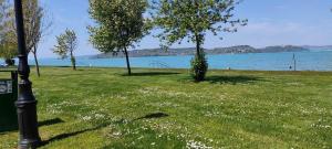 Kép Apartment in Zamardi - Balaton 44084 szállásáról Zamárdin a galériában