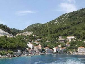 Příroda nedaleko apartmánu + 4 fotografie