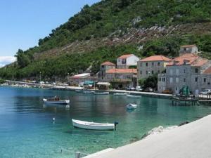 Příroda nedaleko apartmánu