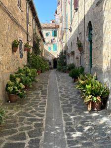 an alley in an old town with potted plants at La Casetta in Grotte di Castro