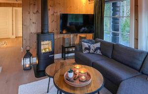 un soggiorno con divano e stufa a legna. di 4 Bedroom Lovely Home In Tinn Austbygd a Luråsgrendi