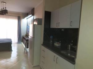 A kitchen or kitchenette at Florenza khamsin aprt F7