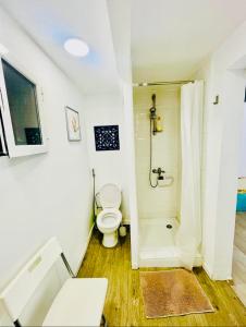 a bathroom with a toilet and a shower at SuperHosts Suites Estepona in Estepona +14 photos