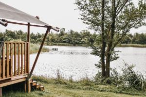 a house next to a lake with a tree at Vakantiepark de Kleine Wielen in Leeuwarden