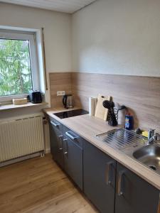 Η κουζίνα ή μικρή κουζίνα στο Schöne 2 Zimmerwohnung in Crailsheim