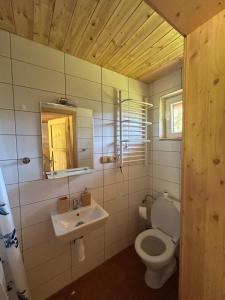 a bathroom with a toilet and a sink and a mirror at Lyžařská chata in Kubova Huť