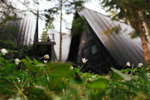 Giardino di ZlatAir Black Boutique Chalets