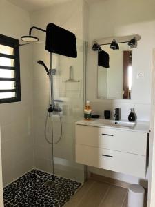 a bathroom with a shower and a sink at Vivez cet instant in Le Gosier