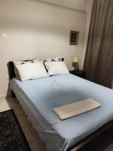 Postel nebo postele na pokoji v ubytování Virginia Apartment
