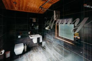 グレート・アイトンにあるEnchanted Lodge Great Ayton Yorkshireのトイレと洗面台付きのバスルーム
