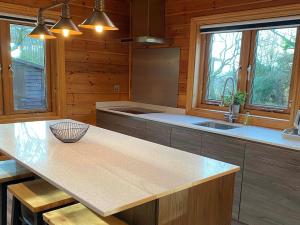 a kitchen with wooden walls and a counter with a sink at Enlighten Lodge Great Ayton Yorkshire in Great Ayton