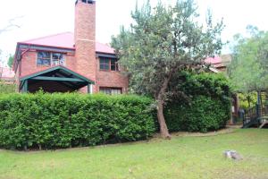 a brick house with a tree in the yard at Storey Grange in Springwood