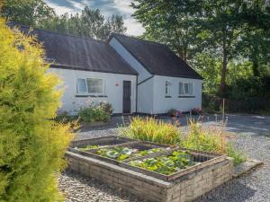 Zahrada ubytování Holly Cottage Newcastle Emlyn