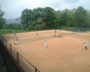 郡上的住宿－Mizubaso，一群人在网球场打网球
