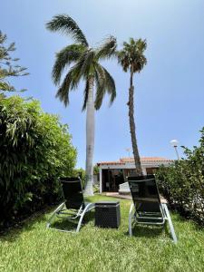 dwa krzesła siedzące w trawie obok palmy w obiekcie Deluxe Las Vegas Golf - by Gestión Vacacional Canarias w mieście Maspalomas