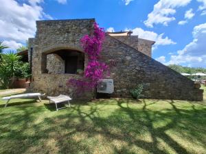 Zahrada ubytování Agriturismo e Glamping Serraiola Alta