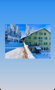 Hotel Forest Star on the Ski Slope v zimě