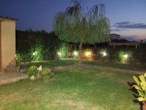 Сад в Nest in Garden