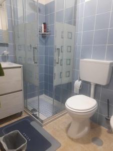 a blue tiled bathroom with a toilet and a shower at B&B da Maria & Renato il Lago Trattoria in Mirabella Eclano