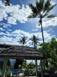 A garden outside Magnolia Guesthouse Varkala