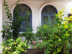 A garden outside Magnolia Guesthouse Varkala