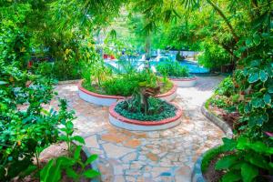 a garden with a bunch of plants and trees at Kiota jungle homestay in Dar es Salaam