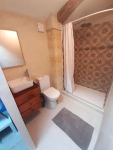 a bathroom with a toilet and a sink and a shower at Maison d'artiste in Saint-Quentin-de-Baron +8 photos