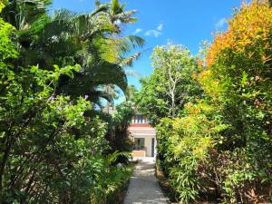 A garden outside Magnolia Guesthouse Varkala