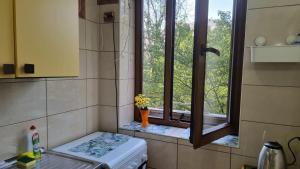 a bathroom with a window with a flower vase at Feeria National Parc in Bucharest
