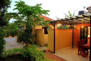 Zahrada ubytování Palm Star Motel