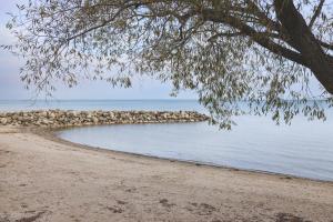 a view of a beach with a tree and the water at Chateau Ridge in Blue Mountains