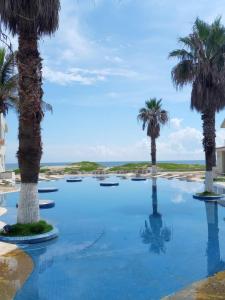een zwembad met palmbomen voor de oceaan bij HOTEL CARASOL VILLAS & SUITES in Ciudad Madero