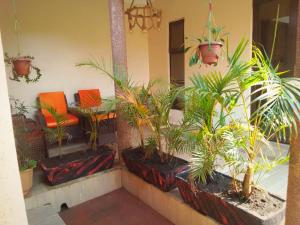 Fotografie z fotogalerie ubytování Palm Star Motel v destinaci Fort Portal
