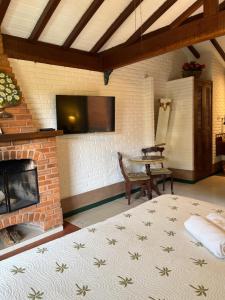 a room with a fireplace and a bed and a tv at Urikana Boutique Hotel in Teresópolis
