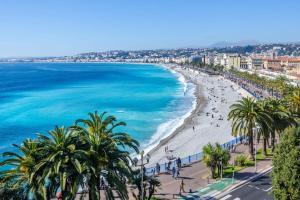 a view of a beach with palm trees and the ocean at Appart chic vieux nice 3 min de la plage in Nice