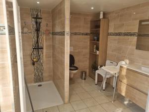 a bathroom with a shower and a toilet at La Villa Marcelle in Bucquoy +11 photos