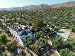 Peisaj natural din apropierea of this country house