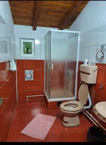 a bathroom with a shower and a toilet and a sink at Smestaj Novakovic ,Zdrelo in Ždrelo