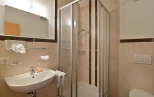 uma casa de banho com um lavatório e um chuveiro em Pension Apartment Hödner em Ebbs