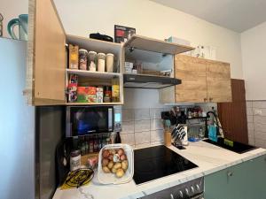 Fotografie z fotogalerie ubytování Ausseerland Apartments - Relax, Ski, Hike and Bike, Garden, Parking, BBQ, Near Hallstatt, Loser, Tauplitz and Krippenstein, Free Wi-Fi and Netflix v destinaci Bad Aussee