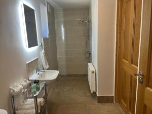 a bathroom with a sink and a shower at Chestnut Lodge Ballindrum R14YW02 in Athy +15 photos