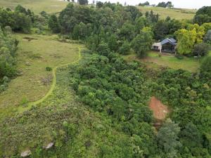an aerial view of a forest with a house in the background at Drakenzicht KZN in Winterton