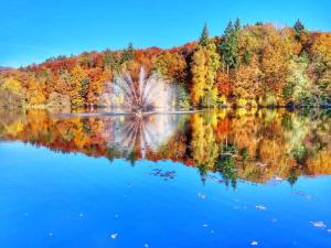 a view of a lake with fall foliage at Classy apartment in Bad Sachsa in Bad Sachsa